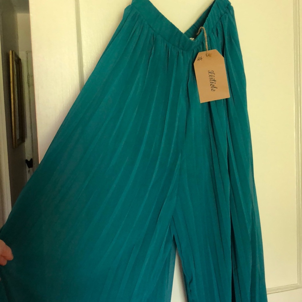 sheer dress pants
